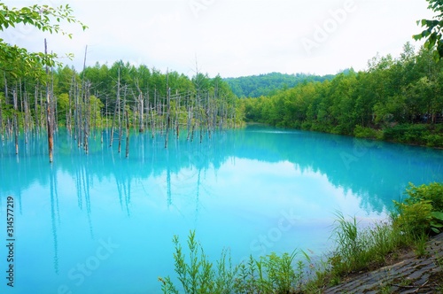 the blue pond in biei