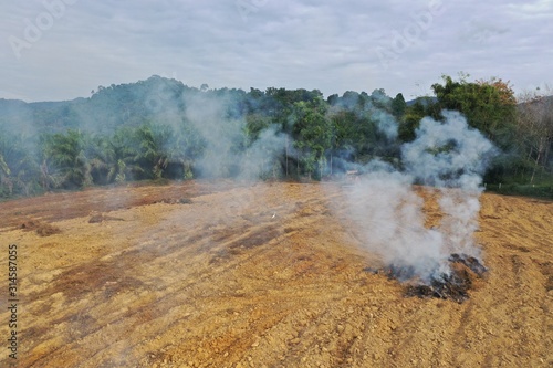 Deforestation. Land cleared and burned to make way for palm oil plantation