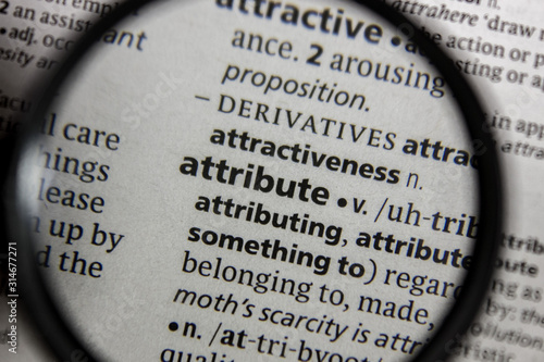 The word or phrase attribute in a dictionary.