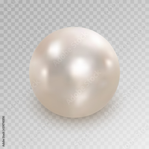 Realistic white pearl with shadow isolated on transparent background. Shiny oyster pearl for luxury accessories. Sphere shiny sea pearl. Beautiful natural white pearl. Shiny 3D jewel with light effect