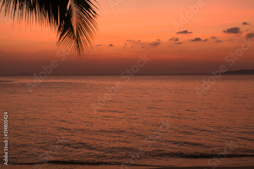 Palm tree leaf on blur tropical sunset beach background. Travel concept template.