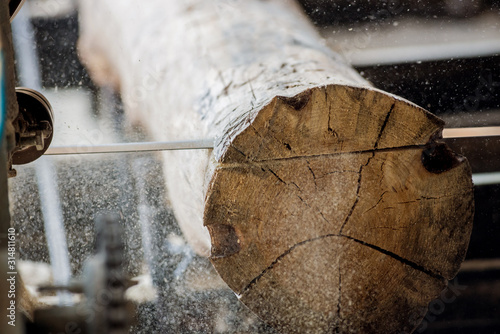 Modern sawmill. Industry sawing boards from logs