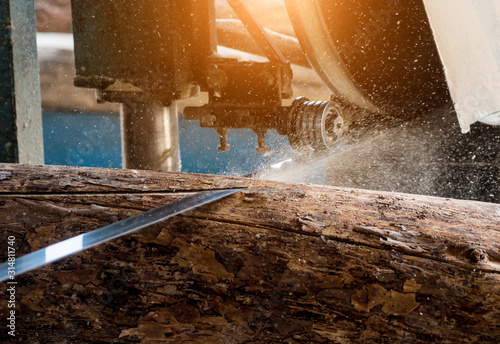 Modern sawmill. Industry sawing boards from logs