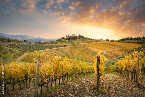 Sunset in Gaiole in Chianti with Chianti vineyards. Gaiole in Chianti, Tuscany, Italy.