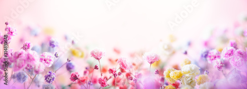 Spring floral composition made of fresh colorful flowers on light pastel background. Festive flower concept with copy space.