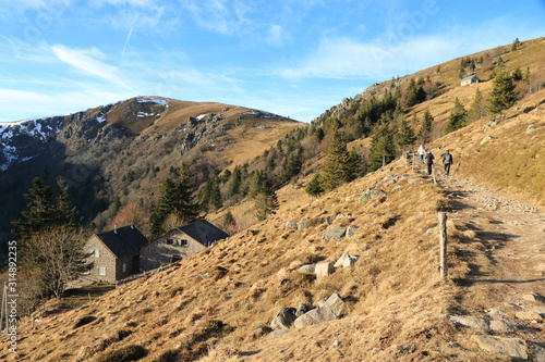 Paysage de la vallée de Munster et le massif du Hohneck