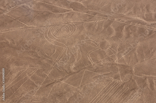 Monkey Nazca lines