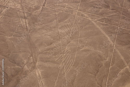 condor nazca lines