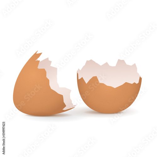 Broken egg shell