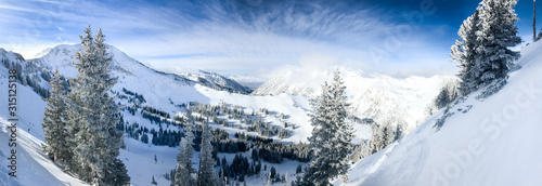 View of the slopes of Alta ski resort in Utah.