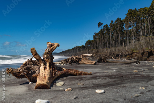 Bruce Bay, New Zealand