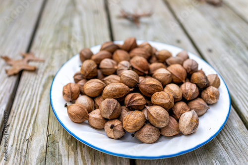 Closeup on wooden background and pile of raw pecan nuts pile ingredient foraged in autumn on plate in shells