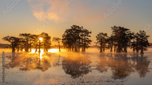 Sunrise at Swamp at Caddo Lake Texas