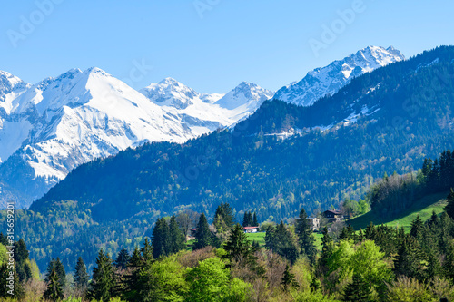 Herrlicher Blick auf die schneebedeckten Gipfel der Allgäuer Alpen im Frühling