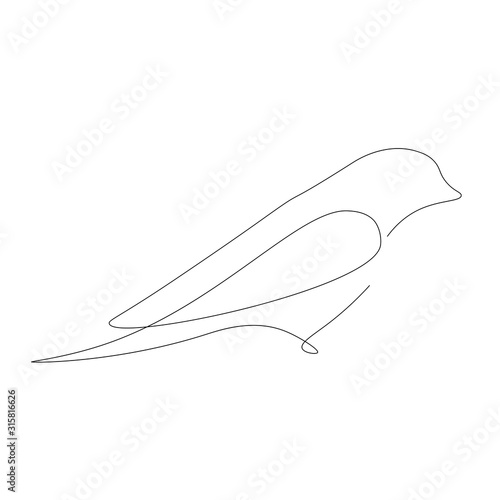 Bird on white background vector illustration 