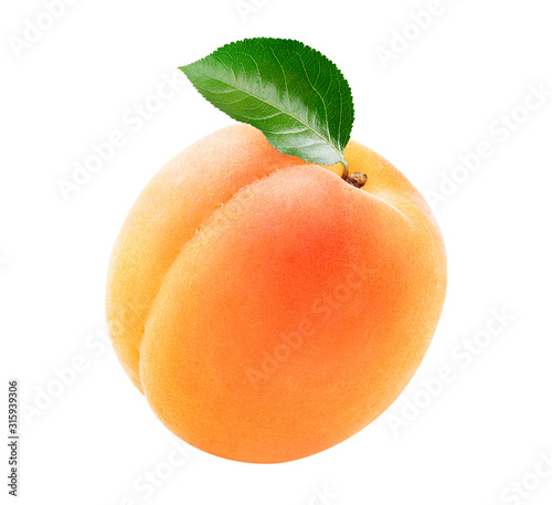 Single fresh apricot with a green leaf isolated on white background