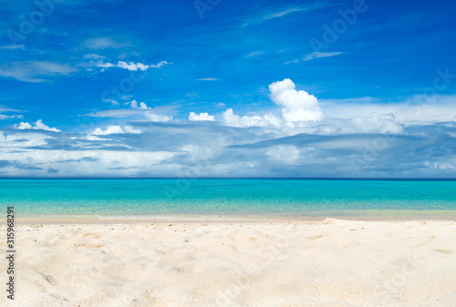 tropical beach caribbean sea. tropical landscape