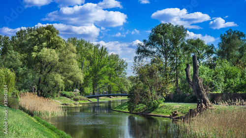 Park Kępa Potocka w Warszawie w słoneczny letni dzień z niebieskim niebem i białymi chmurami