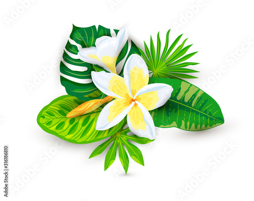 Tropical exotic leaves and plumeria flowers with shadows, vector illustration isolated on white background. Design element for poster, web, flyers, invitation, postcard, SPA, sticker, wedding.