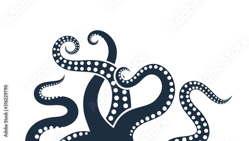 Octopus logo. Isolated octopus on white background