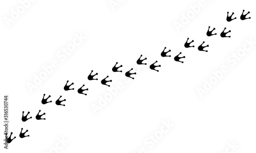 Tracks of frog paws isolated on white background. Vector illustration