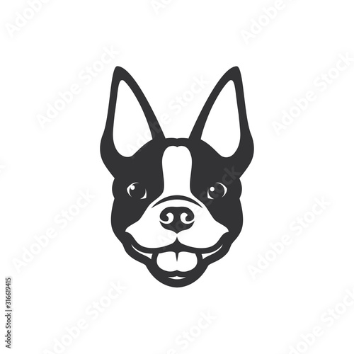 Boston terrier dog - vector illustration