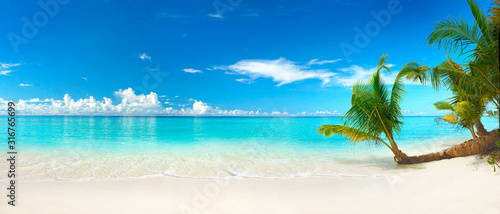 Beautiful beach with white sand, turquoise ocean, blue sky with clouds and palm tree over the water on a Sunny day. Maldives, perfect tropical landscape, ultra wide format.