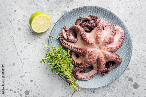 Boiled octopus ready for serve with lemon and thyme on plate over gray background, top view