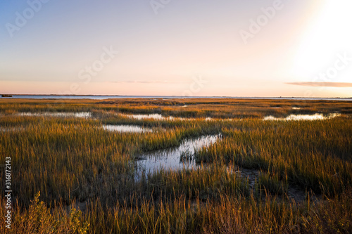Saltmarsh on the Virginia coast in USA in the golden sun at sunset. Known as a coastal salt marsh or tidal marsh it is located between land and brackish water that is regularly flooded by the tides.