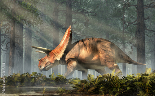 Torosaurus was ceratopsian dinosaur that was a frilled and horned, four legged animal. It lived during the cretaceous period. In a dense forest. 3D Rendering