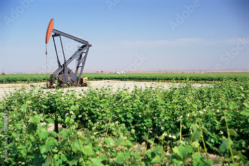 Pump jack oil well in field