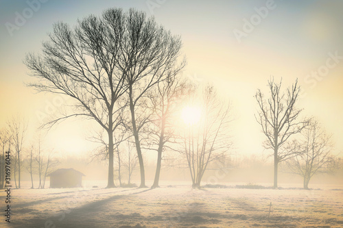 The sun rises and illuminates the icy plain cloaked in fog