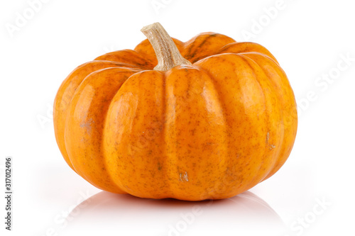 Single mini pumpkin isolated on white