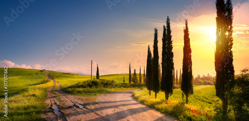 art spring countryside landscape with beautiful farmland and dirt road over sunrise sky