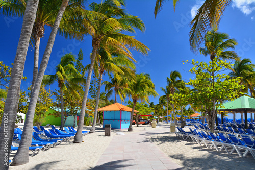 Palm trees and blue sunbeds on beautiful beach.