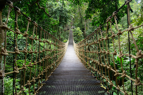 Bridge Rainforest Suspension bridge, Crossing the river, ferriage in the woods