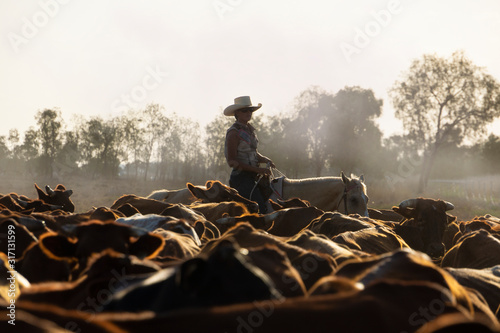 Female drover herding cattle.