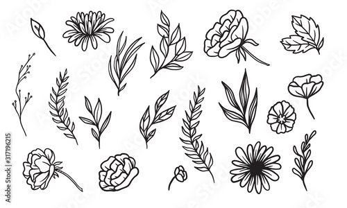 set of hand drawn leaf vector illustration, flower lineart isolated graphic elements for your design, floral lineart for classic design