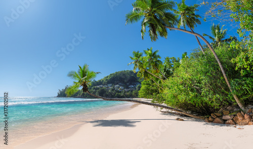 Coconut palms on beautiful tropical beach and turquoise sea in Paradise Caribbean island.