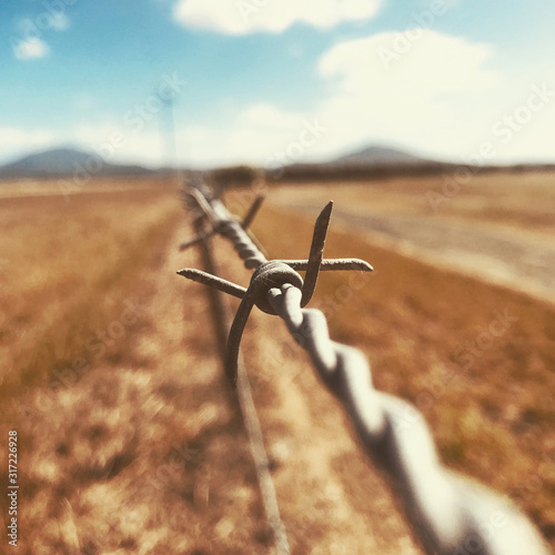 barbed wire fence in a field