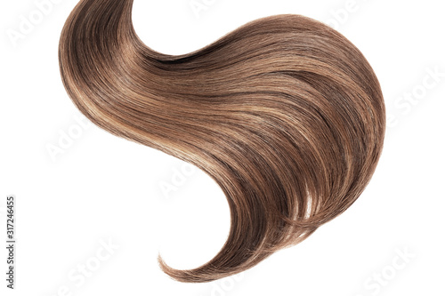 Brown hair isolated on white background. Long ponytail