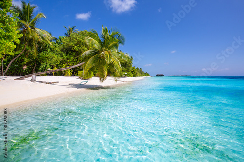 Beautiful tropical beach landscape banner. White sand and coco palms wide panorama background concept. Amazing beach scene use for summer vacation and exotic holiday, luxury travel tourism destination
