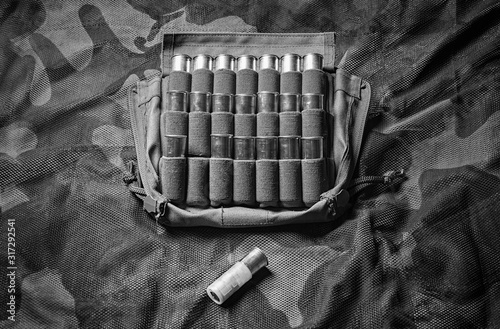 Set of cartridges for a shotgun. One cartridge is higher than the rest in the case. Business concept of leadership, high management, recruiting.