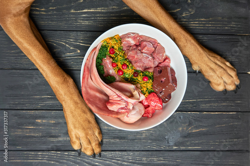 Natural raw organic dog food in bowl on black wooden floor and dog's paws on background