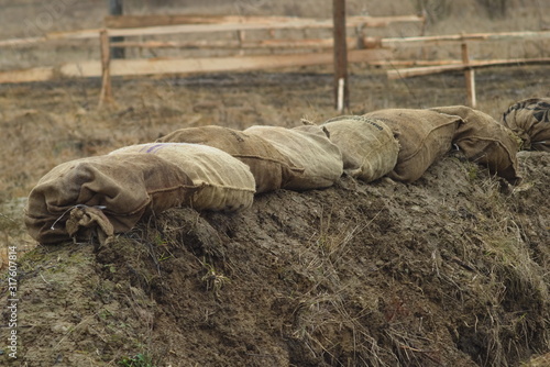 Sandbags made from coarse fabric reinforce the edge of the army trench in the field. Preparing infantry positions during exercises.