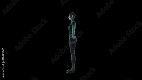 Human Female Body Hologram Wireframe. Nice 3D Render on a black background