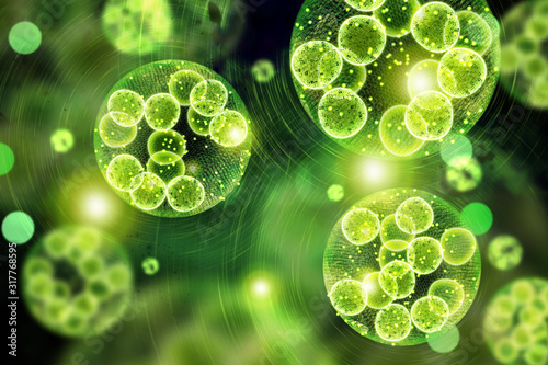 Green Algae Cells 3D Illustration