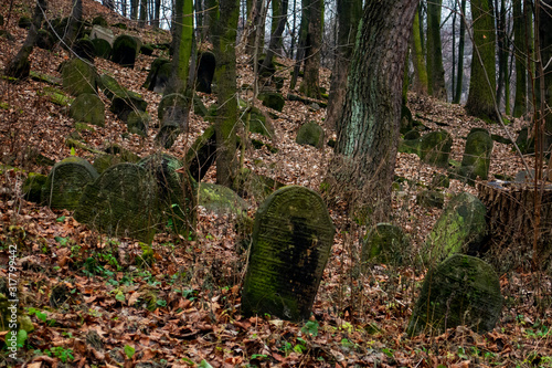 cmentarz żydowski będzin.