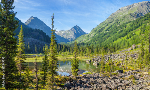 Picturesque forest lake in the Altai Mountains. Summer taiga greens, beautiful reflection. Morning light, rich colors.