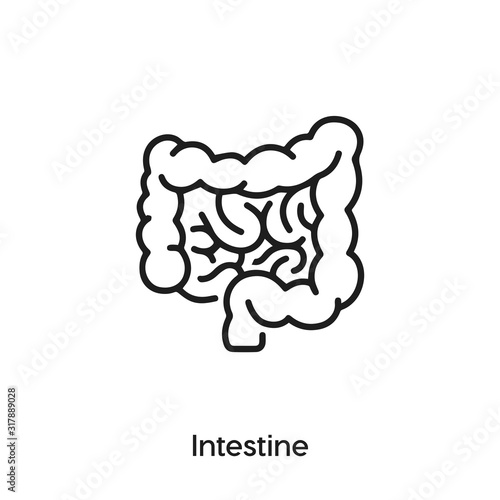 intestine icon vector. intestine body organ icon vector symbol illustration. Modern simple vector icon for your design. gut icon vector 